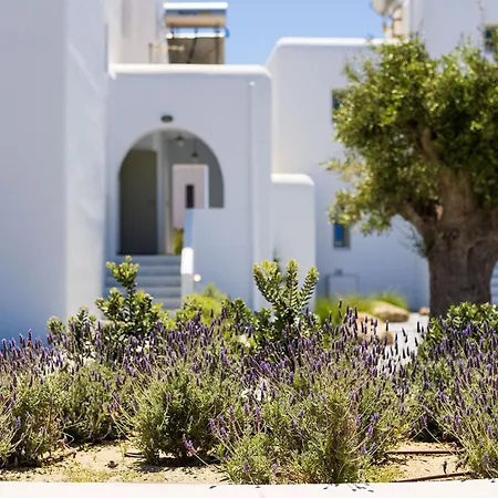 Villa Plaka Naxos - Matina Sofia *