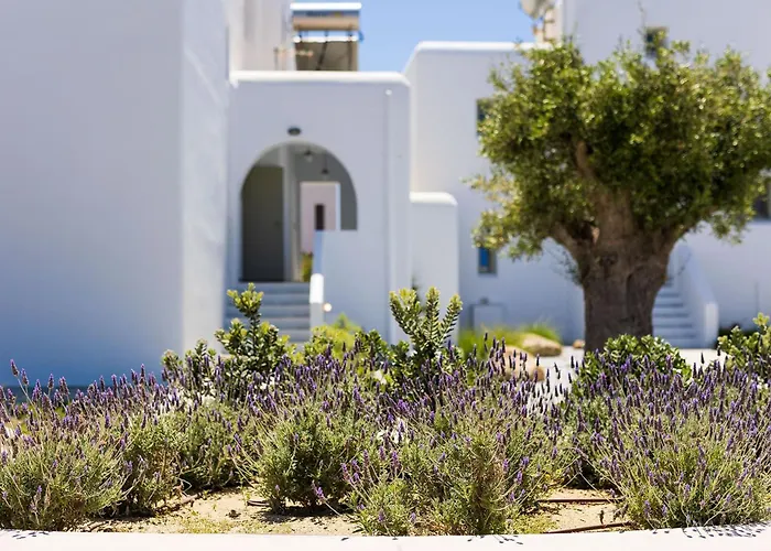 Tatil Evi Plaka Naxos - Matina Sofia *