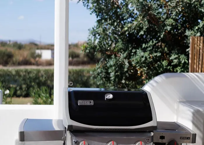 Tatil Evi Plaka Naxos - Matina Sofia Maragkas